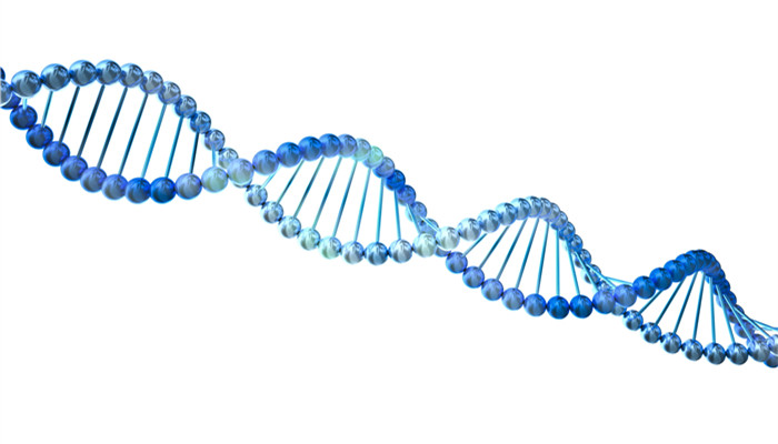 DNA֤ȡ°Ҫ