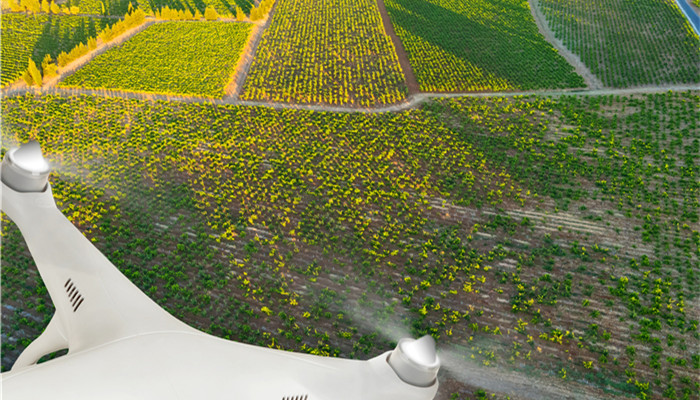 �����ǲݰ�Ϊ������ऻ���������ݼ� �ҹ���Ʒ�Ǽ���������